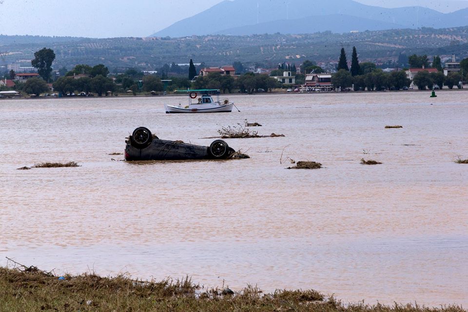 Μάχιμος