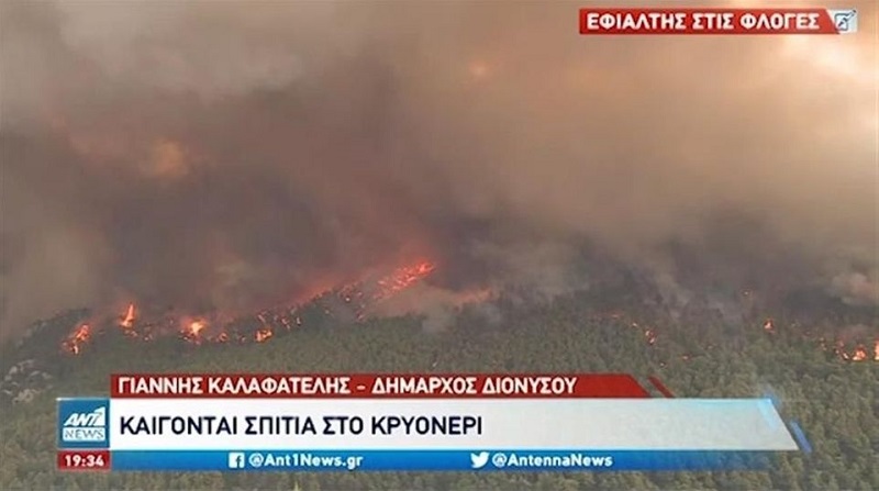 Γραμμή υποστήριξης πυροπλήκτων από τον ΑΝΤ1